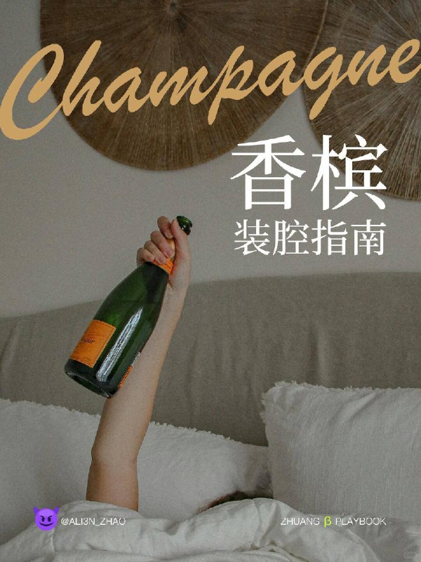#装腔指南 香槟装腔指南🍾#装腔指南 香槟装腔指南🍾