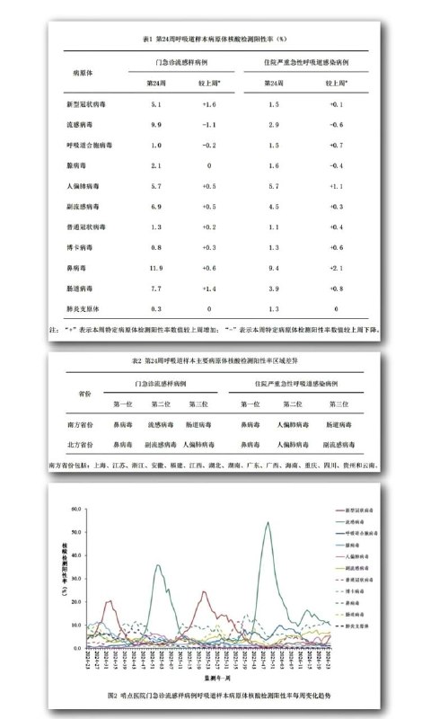 「2026年了，新冠没消失！它只是学会了“伪装”」2026年了，新冠还在，而且越来越像“普通感冒”！最近两天，一位香港网友分享了自己的感染经历：“起初只是轻微咽痛、鼻腔不适，以为空调吹多了，连续几天症状都不重，没有发烧，也没有明显乏力