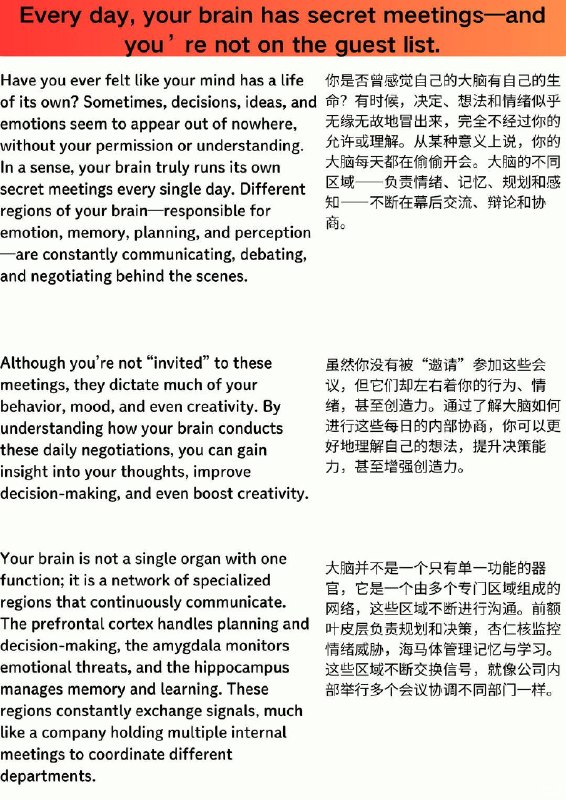 外刊精选 你的大脑每天都在偷偷开会，而你不被允许参加外刊精选 你的大脑每天都在偷偷开会，而你不被允许参加