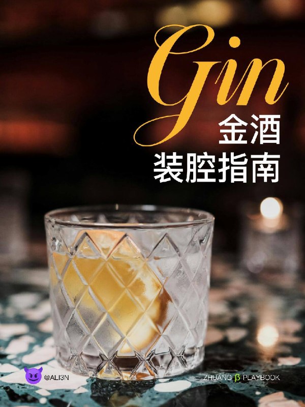 #装腔指南 Gin金酒装腔指南#装腔指南 Gin金酒装腔指南