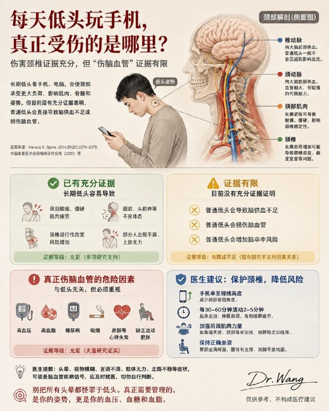 「医学科普：每天低头玩手机 真的会“伤脑血管”吗？医生告诉你真正需要担心的是什么」近年来，低头玩手机等于脖子上挂着一个大西瓜，长期低头会伤脑血管、导致脑供血不足等说法广泛传播，不少人因此感到非常担心自己会得心梗脑梗……那么，这些说法究竟有多少科学依据？长期低头确实会伤害颈椎和肌肉，但将其直接等同于伤脑血管或导致脑供血不足，目前缺乏充分的科学证据支持