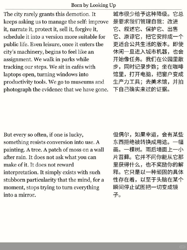 精选外刊 生命是千万次的望天而生精选外刊 生命是千万次的望天而生