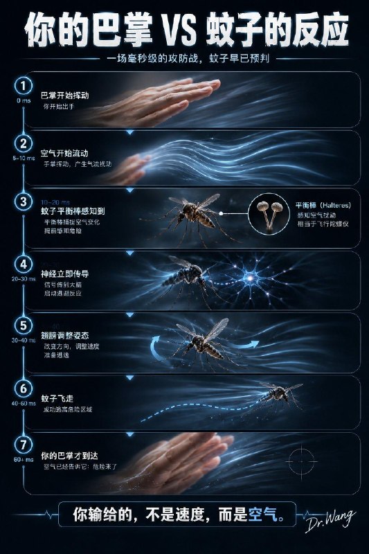 「为什么蚊子总打不到？不是你手慢而是它真的“开了外挂”！」你有没有过这样的经历？明明已经瞄准，一巴掌拍下去，结果手掌里空空如也，而蚊子已经飞到了另一面墙上仿佛在是在嘲笑你……其实，这还真不是你的问题！蚊子之所以难打，是因为它本身就是飞行界的“顶级运动员”