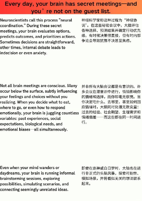 外刊精选 你的大脑每天都在偷偷开会，而你不被允许参加外刊精选 你的大脑每天都在偷偷开会，而你不被允许参加