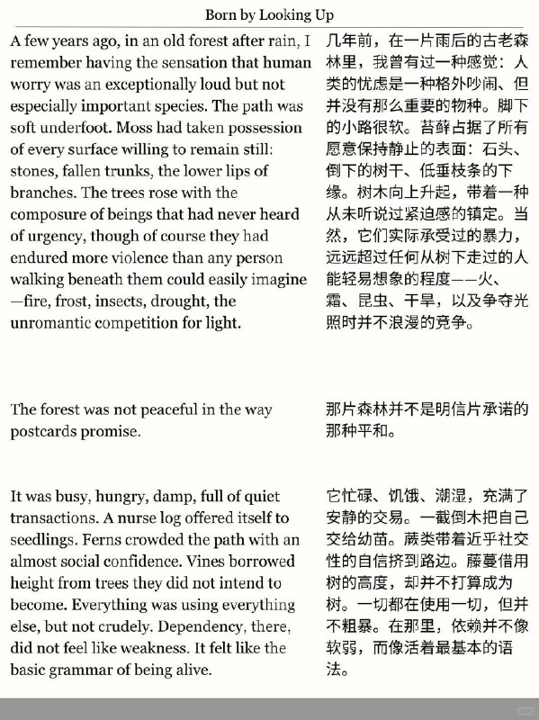 精选外刊 生命是千万次的望天而生精选外刊 生命是千万次的望天而生