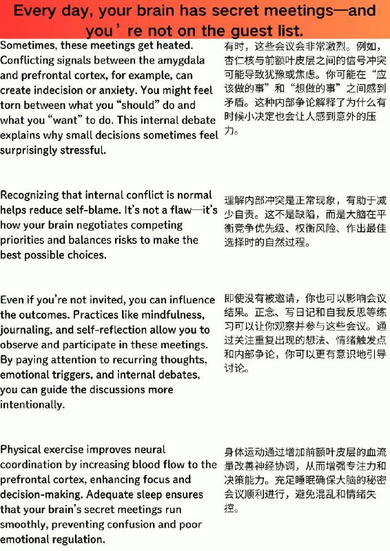外刊精选 你的大脑每天都在偷偷开会，而你不被允许参加外刊精选 你的大脑每天都在偷偷开会，而你不被允许参加
