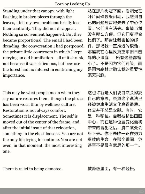 精选外刊 生命是千万次的望天而生精选外刊 生命是千万次的望天而生