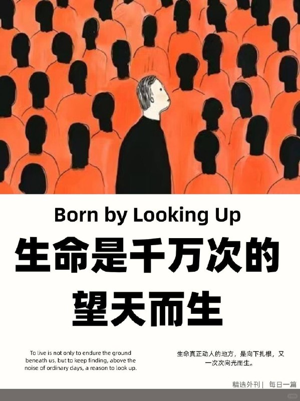 精选外刊 生命是千万次的望天而生精选外刊 生命是千万次的望天而生