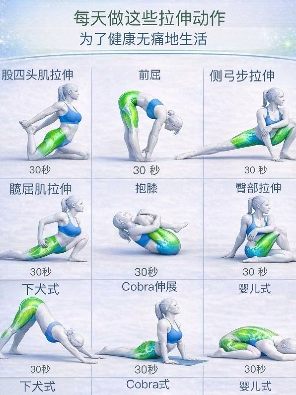 🧘‍♀️💪 每天做这些伸展运动，健康生活无痛感