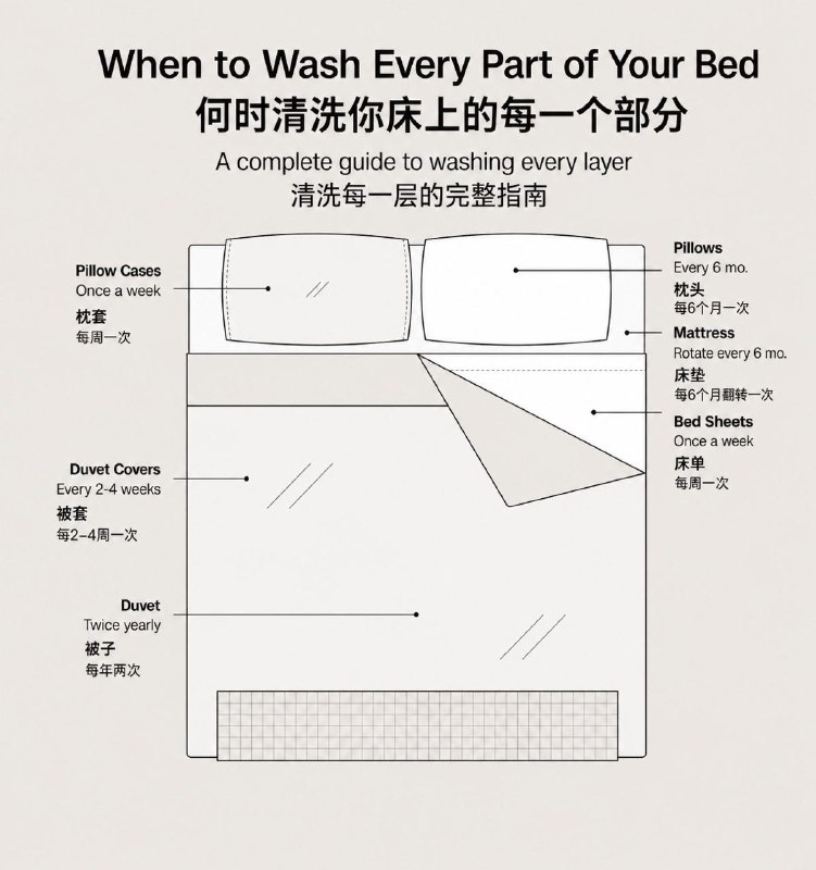 「健康科普：床品清洗时间表 建议爱清洁的你收藏」很多人会定期认真洗澡，却忽略了每天睡的床，可能比你想象中更“需要清洁”