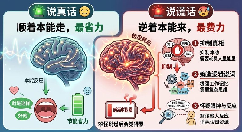 说真话与说谎话时我们大脑的运作方式完全不同说真话是顺着本能走，最省力；说谎则是逆着本能来当我们说谎话时，大脑会开始启动做三件事1. 抑制真相，说谎时大脑运作第一步不是编造谎言，而是压抑说出真话的冲动，这个抑制反应，需要耗费大量能量去执行2. 编造谎言逻辑说词，大脑需要编造一个符合逻辑，不会矛盾的剧本时，需要极强的工作记忆3. 怀疑对方的眼神与反应，你的大脑开始不断猜测：「他现在相信我吗？」、「他眼神飘移这样看我是不是开始怀疑我了？」这种持续解读他人的观察行为，极度消耗大脑认知资源所以，这也难怪你说谎后会觉得很累
