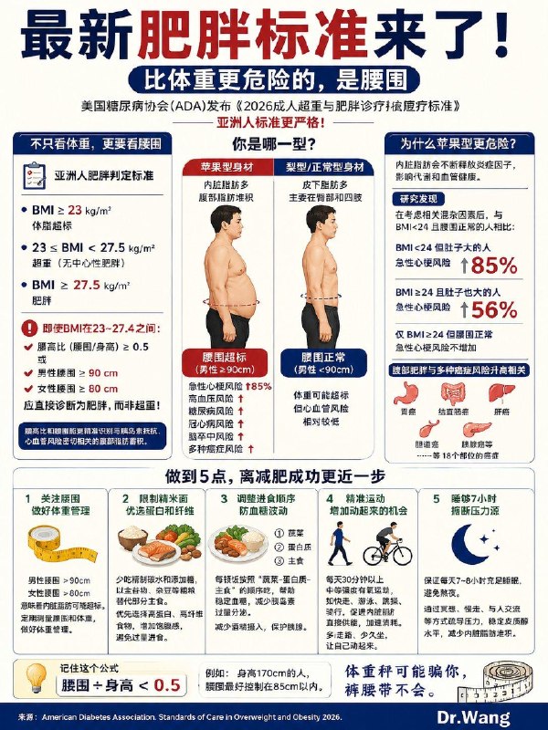 「美国ADA最新肥胖标准公布：很多体重正常的人 其实已经属于肥胖」美国糖尿病协会（ADA）刚刚发布《2026成人超重与肥胖诊疗标准》