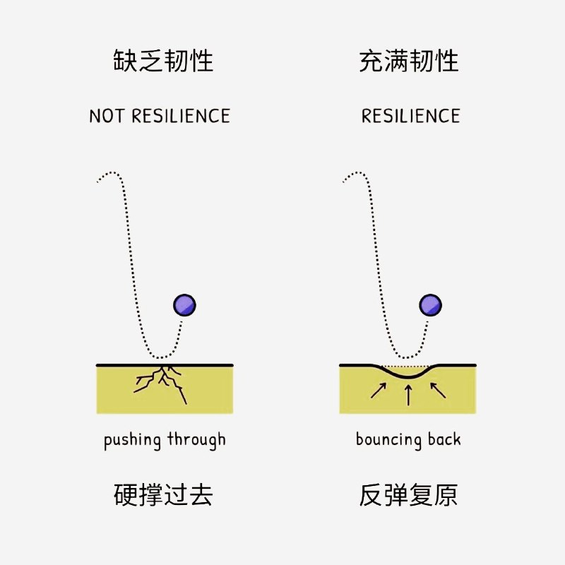 心理学上有一个词叫心理韧性（Resilience）