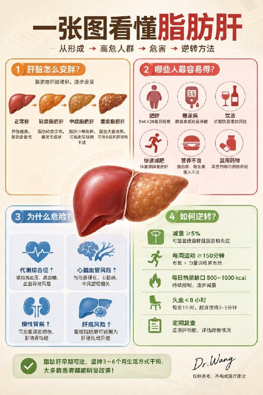 「医学科普：一图读懂脂肪肝」