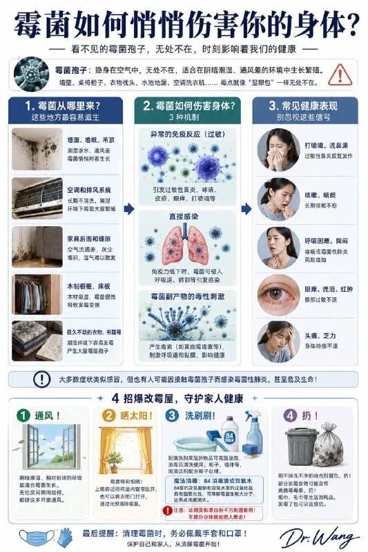「健康科普：霉菌如何悄悄伤害你的身体？」我们对霉菌最大的误解，是把它仅仅当成一个常见的卫生问题