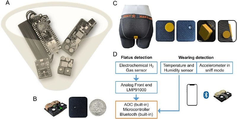 屁里藏着健康码？“智能内裤”科学测量成年人一天放多少个屁提起“放屁”，人们总会觉得尴尬但其实，肠道排气是微生物发酵的“晴雨表”，反映了菌群分解食物的真实工作状态 