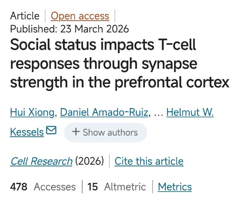 二把手免疫力更强？压力与免疫研究新发现"地位高则健康好"是流行病学的老结论，但背后的神经-免疫机制从未被阐明