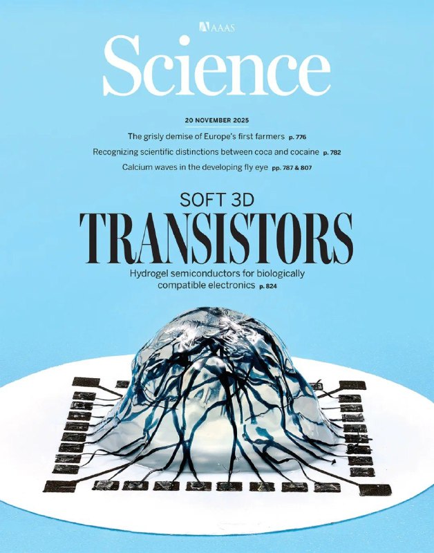 科学家研发出世界首款三维水凝胶半导体晶体管，打破电子与生命系统间的维度鸿沟传统晶体管作为现代电子技术的基础，一直面临着与生物系统融合的挑战——电子设备是刚性、平面的二维结构，而生物组织则是柔软、不规则的三维形态