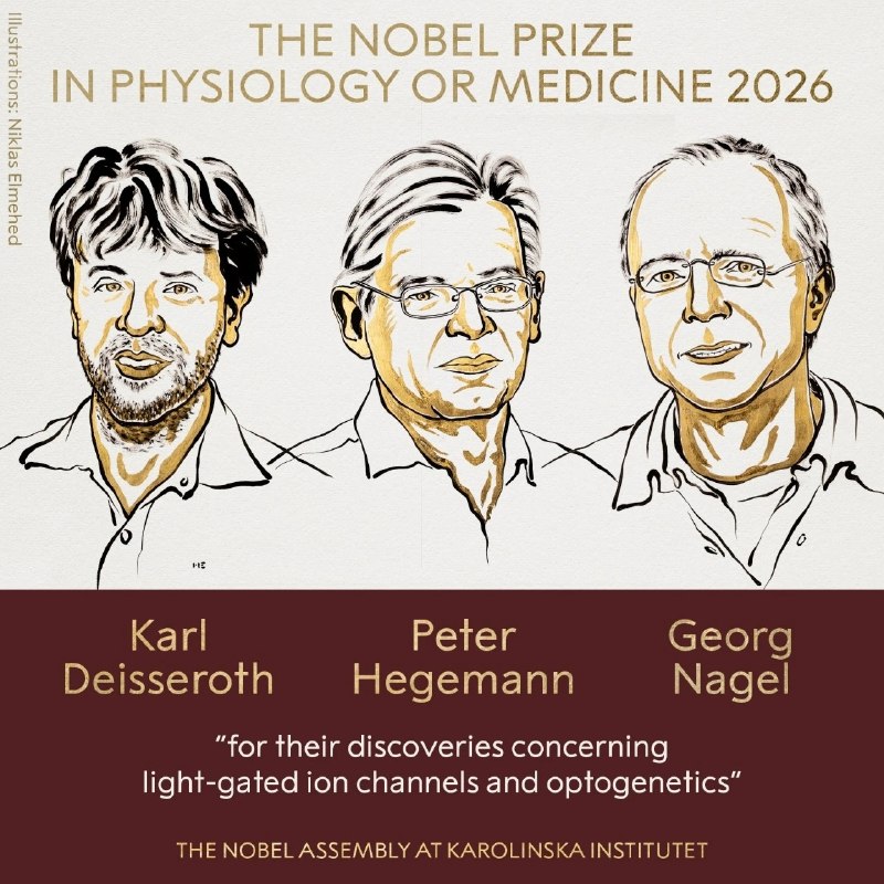 2026年10月5日，瑞典卡罗琳医学院将诺贝尔生理学或医学奖授予 Karl Deisseroth、Peter Hegemann 和 Georg Nagel，表彰"光门控离子通道与光遗传学"的发现