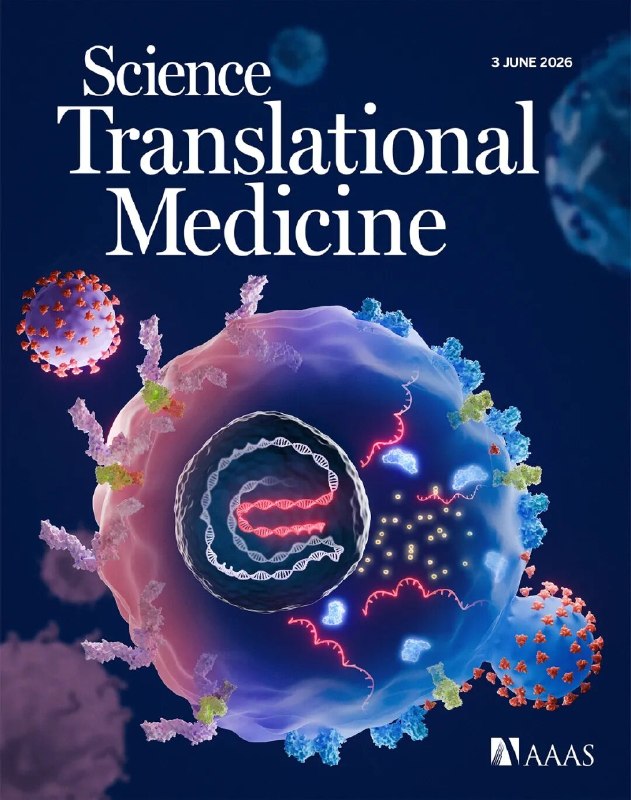 HIV感染竟能让T细胞“变身”？新发现揭示病毒储存库的隐藏角色通常认为，CD4+ T细胞是HIV-1的主要攻击目标，因为病毒通过CD4受体进入细胞